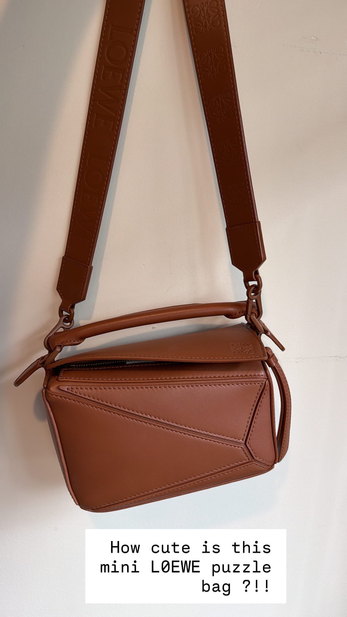 Loewe Brown Calfskin Small Puzzle Bag