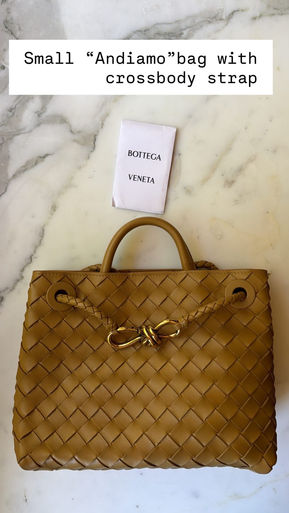 Bottega Veneta Tan Small Andiamo Bag With Gold Hardware