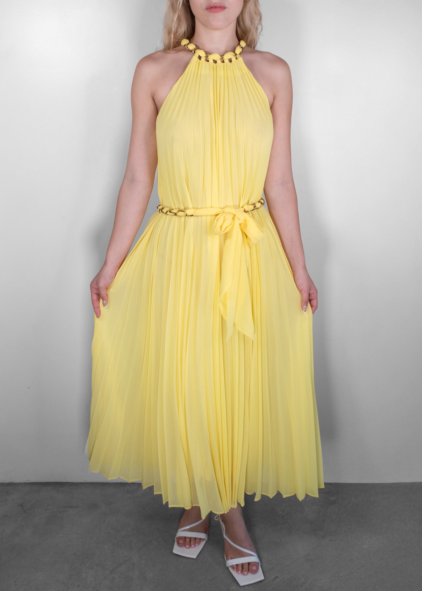 Zimmermann Sunray Pleated Dress