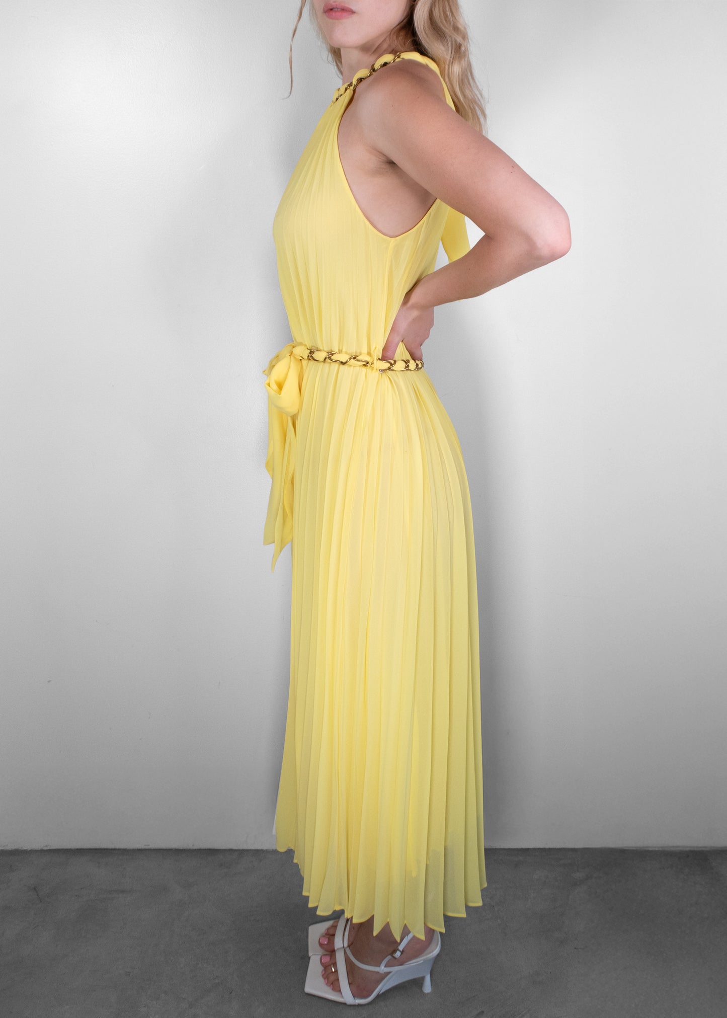 Zimmermann Sunray Pleated Dress