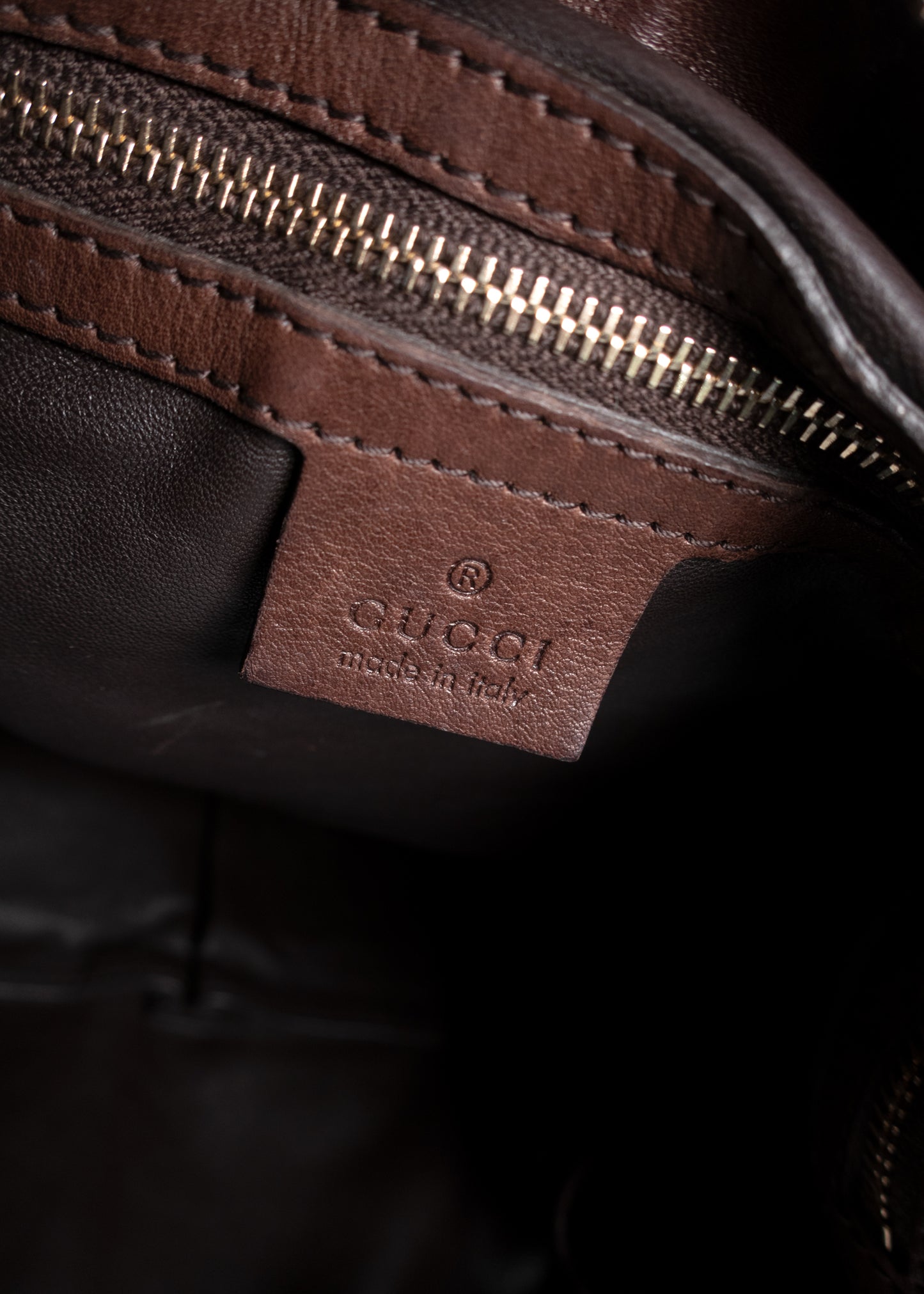 Gucci Python Eva Hobo