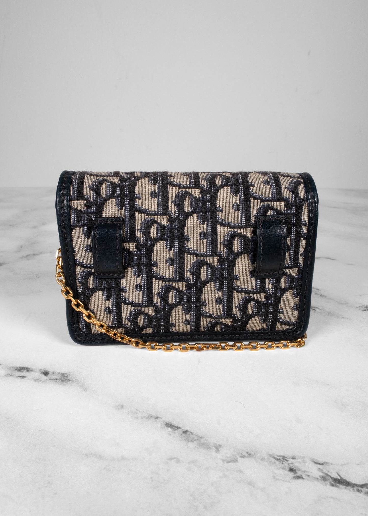 Christian Dior Oblique Nano 30 Montaigne Pouch