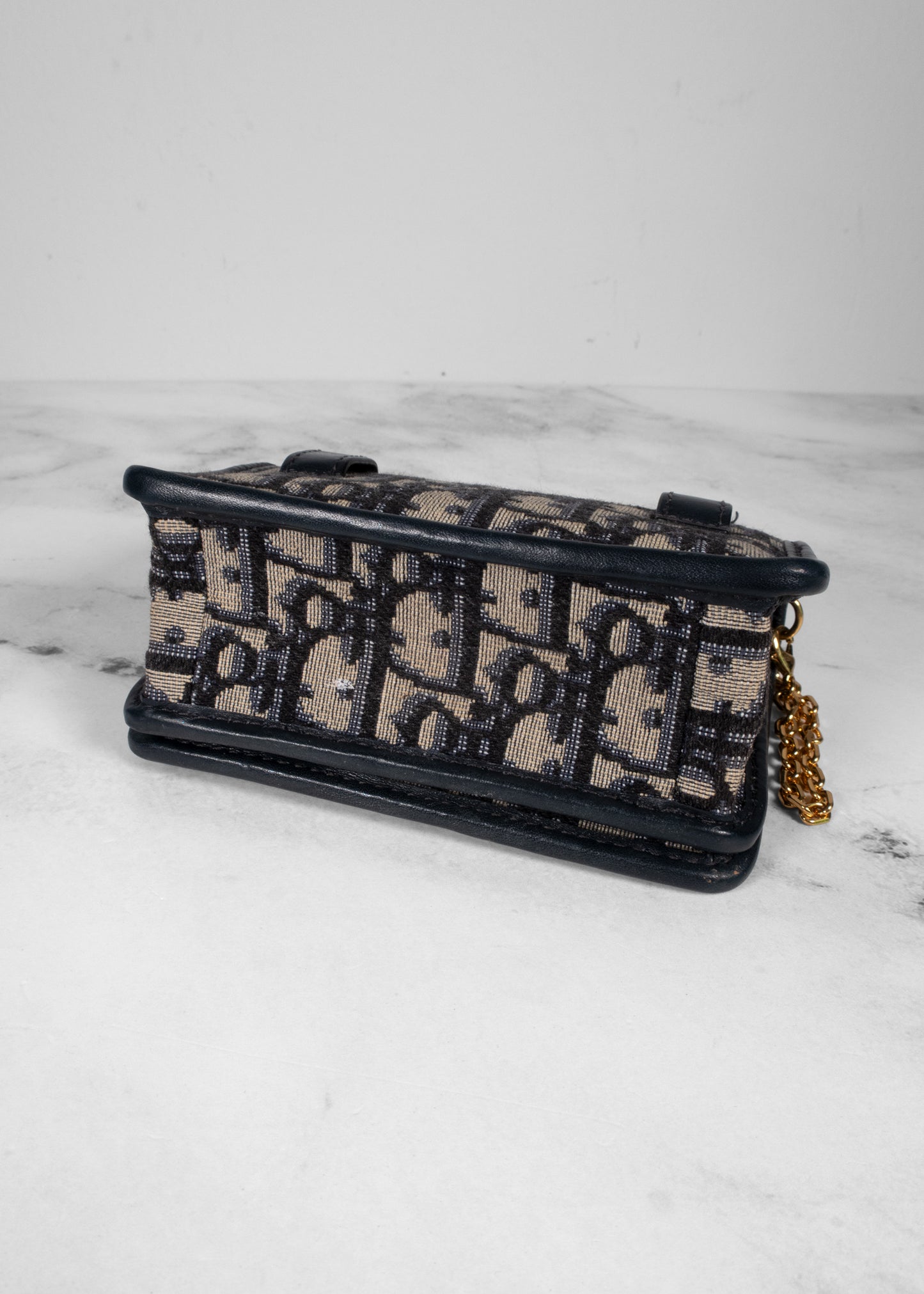 Christian Dior Oblique Nano 30 Montaigne Pouch
