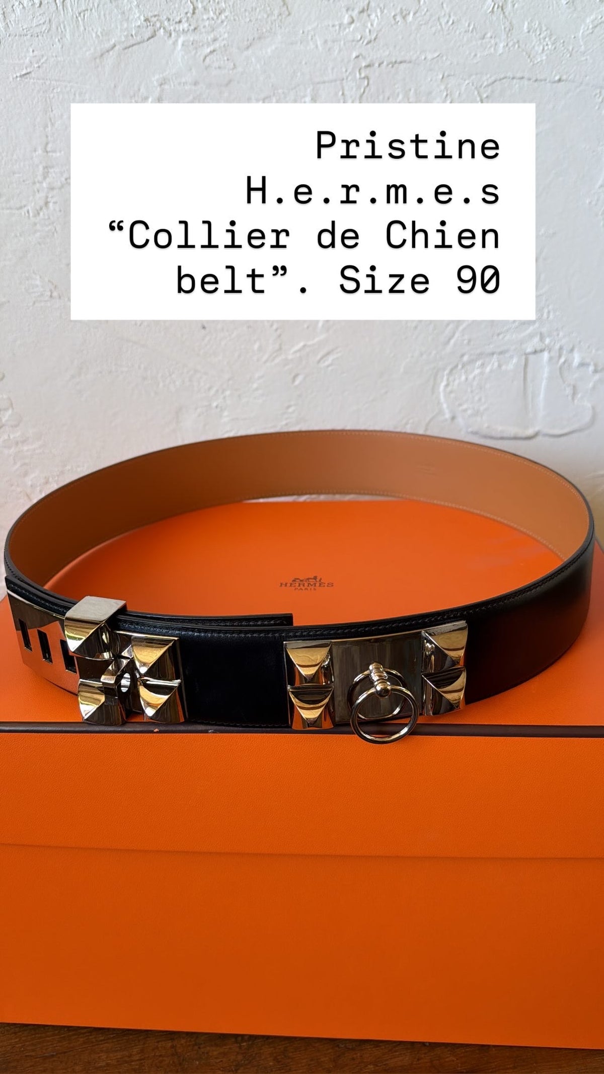 Hermes Collier de Chien belt