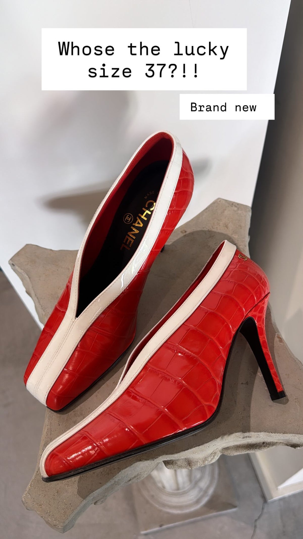 Brand new Chanel 2026 croc pumps