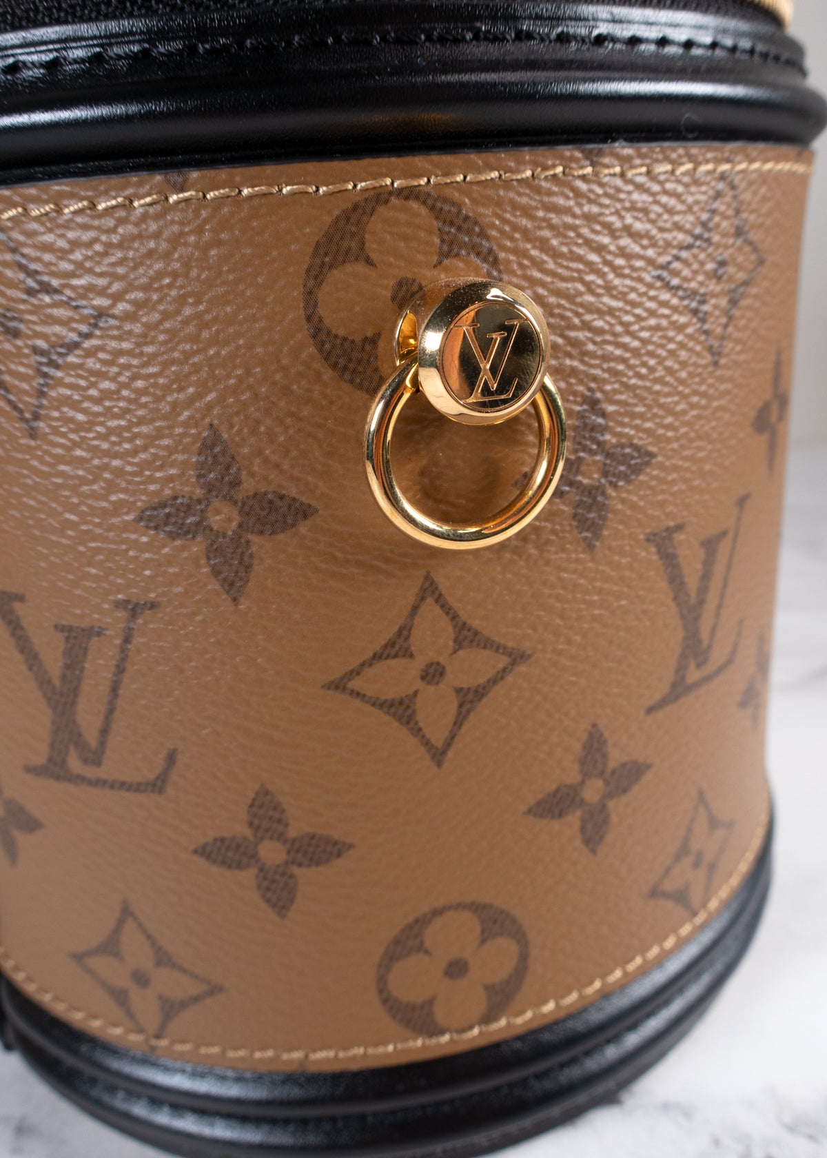Louis Vuitton Cannes Monogram Reverse Vanity Handbag