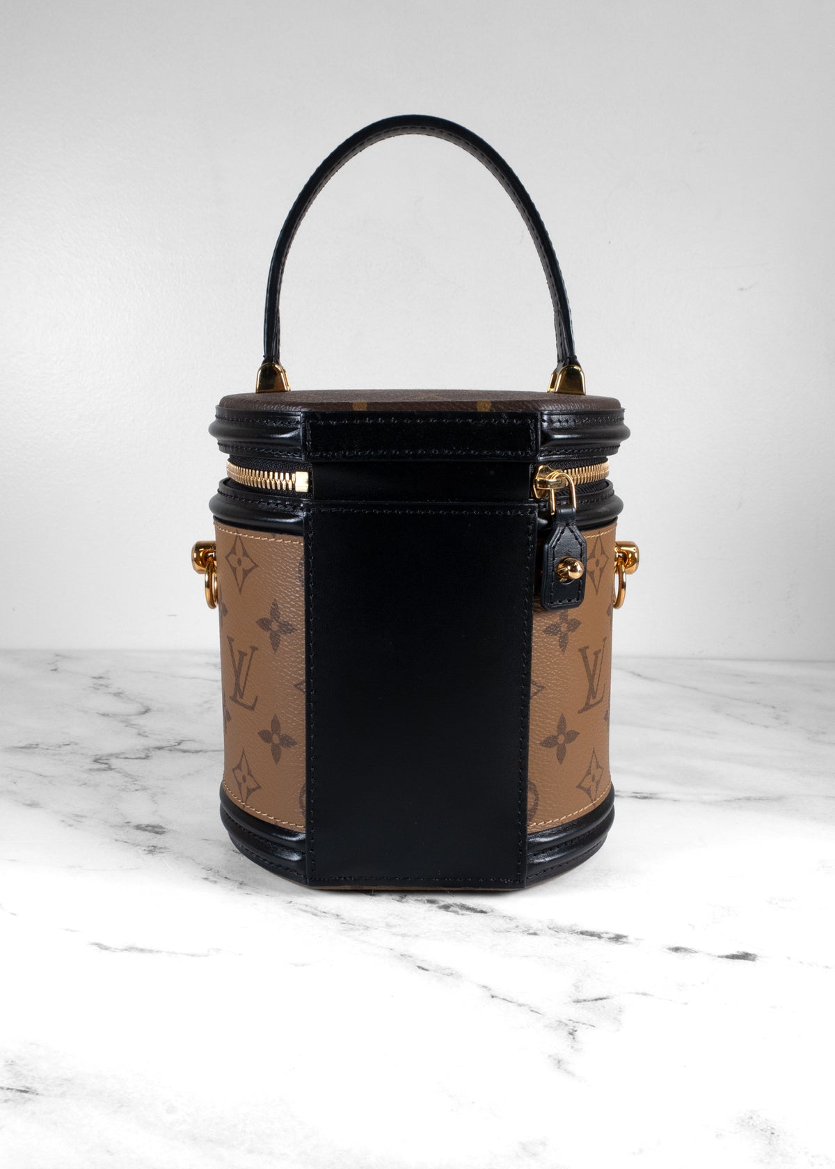 Louis Vuitton Cannes Monogram Reverse Vanity Handbag