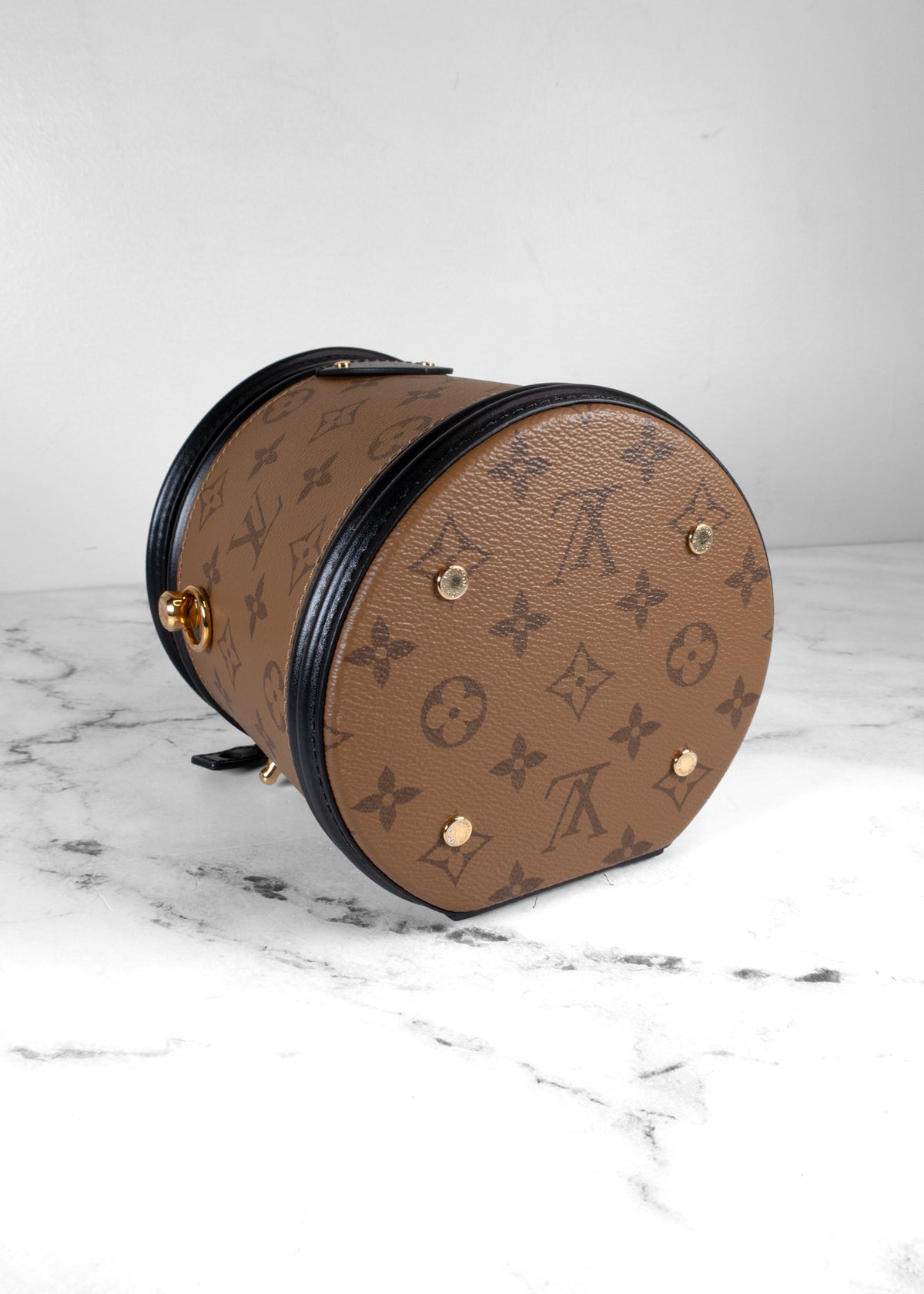 Louis Vuitton Cannes Monogram Reverse Vanity Handbag