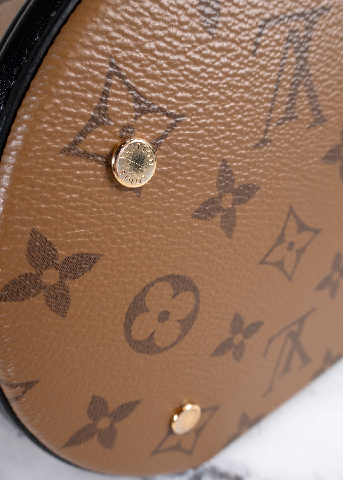 Louis Vuitton Cannes Monogram Reverse Vanity Handbag