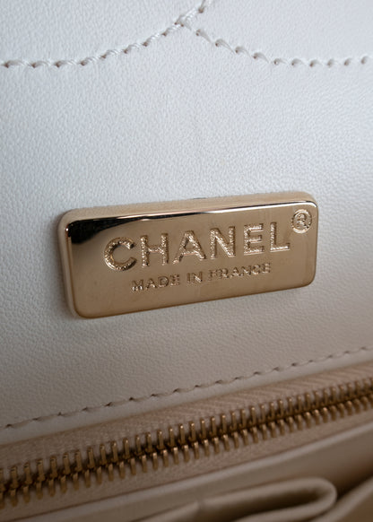 Chanel White & Champagne Python 2.55 Reissue 226 Double Flap Bag