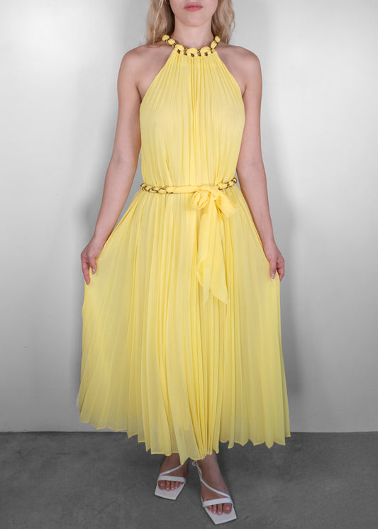 Zimmermann Sunray Pleated Dress
