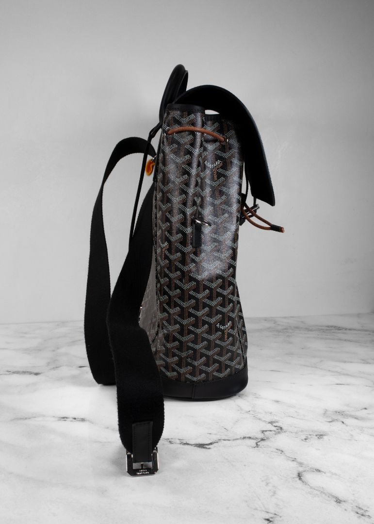 Goyard Goyardine Calfskin Alpin MM Backpack in Black